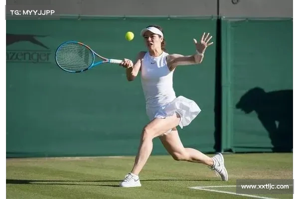 李娜澳网决赛精彩回顾 奋斗与坚持铸就历史性的胜利时刻 李娜澳网决赛精彩回顾 奋斗与坚持铸就历史性的胜利时刻